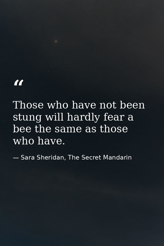 Those who have not been stung will hardly fear a bee the same as those who have. — Sara Sheridan, The Secret Mandarin