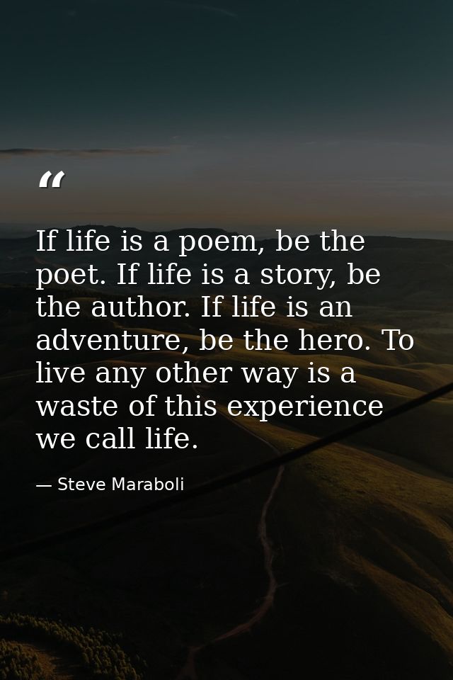 If life is a poem, be the poet. If life is a story, be the author. If life is an adventure, be the hero. To live any oth — Steve Maraboli