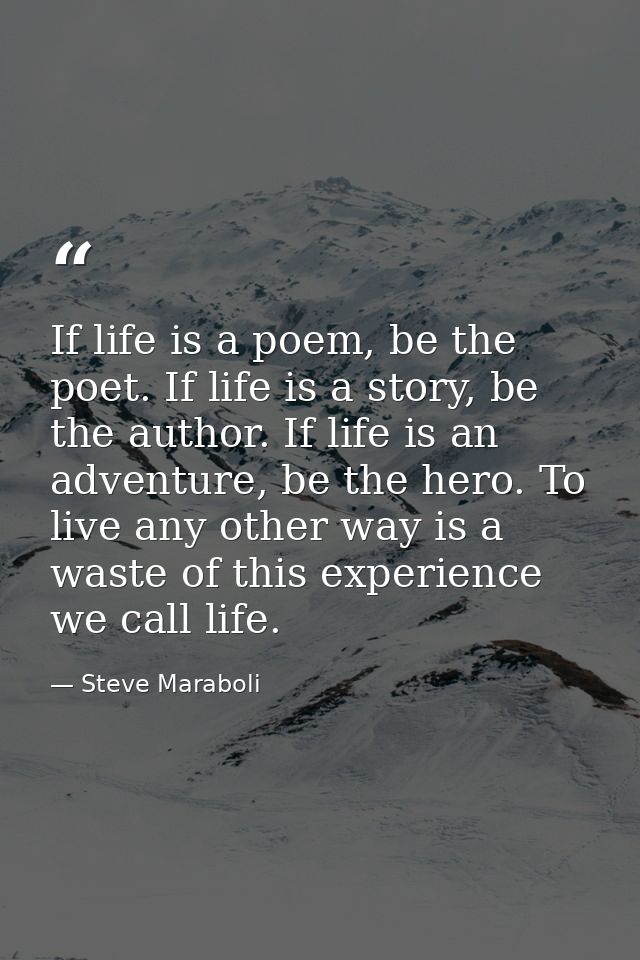 If life is a poem, be the poet. If life is a story, be the author. If life is an adventure, be the hero. To live any oth — Steve Maraboli