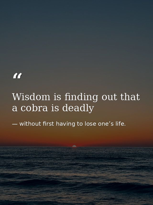 Wisdom is finding out that a cobra is deadly — without first having to lose one’s life.