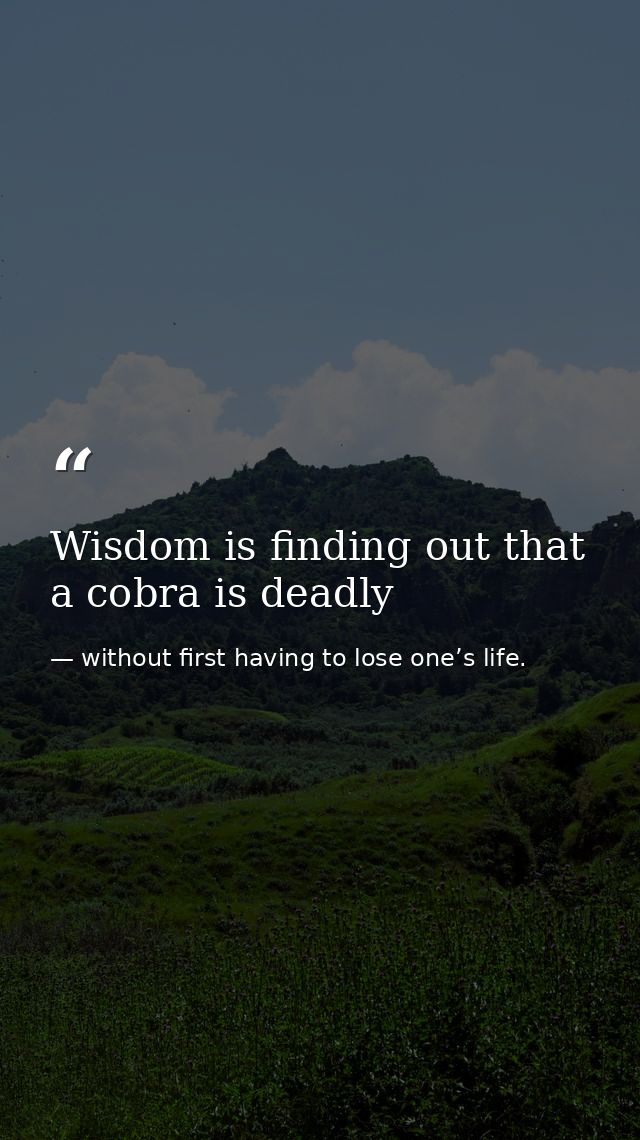 Wisdom is finding out that a cobra is deadly — without first having to lose one’s life.