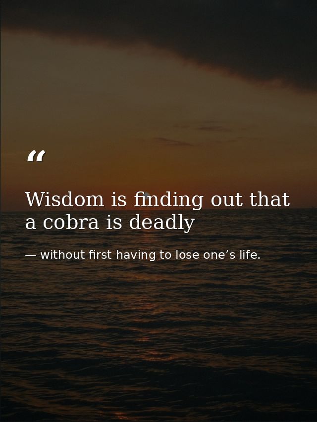 Wisdom is finding out that a cobra is deadly — without first having to lose one’s life.