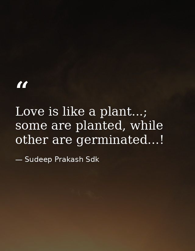Love is like a plant...; some are planted, while other are germinated...! — Sudeep Prakash Sdk