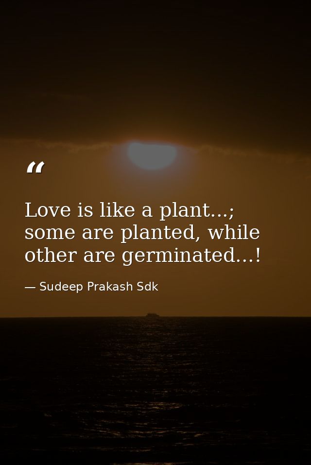 Love is like a plant...; some are planted, while other are germinated...! — Sudeep Prakash Sdk