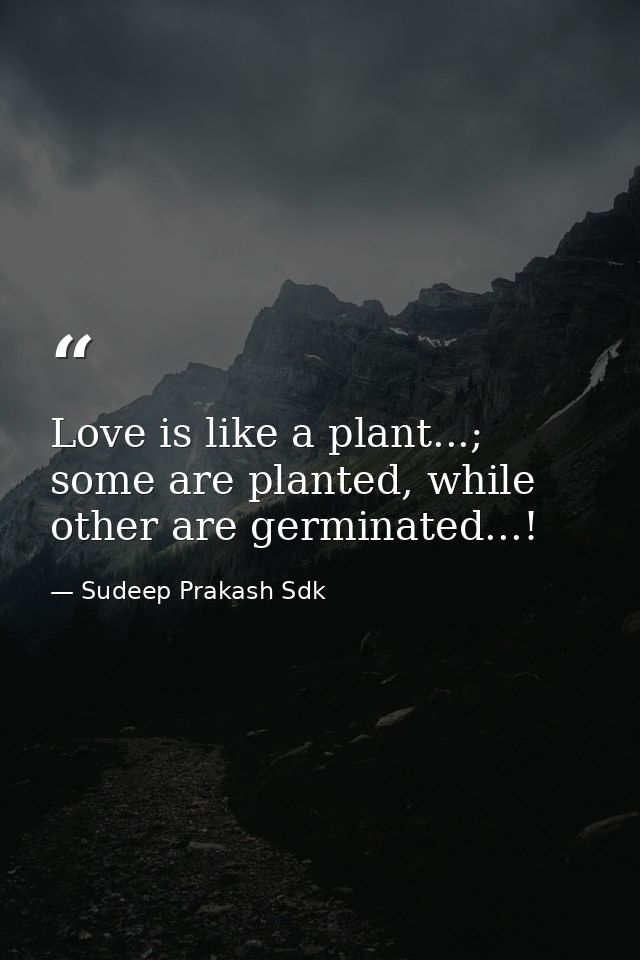 Love is like a plant...; some are planted, while other are germinated...! — Sudeep Prakash Sdk