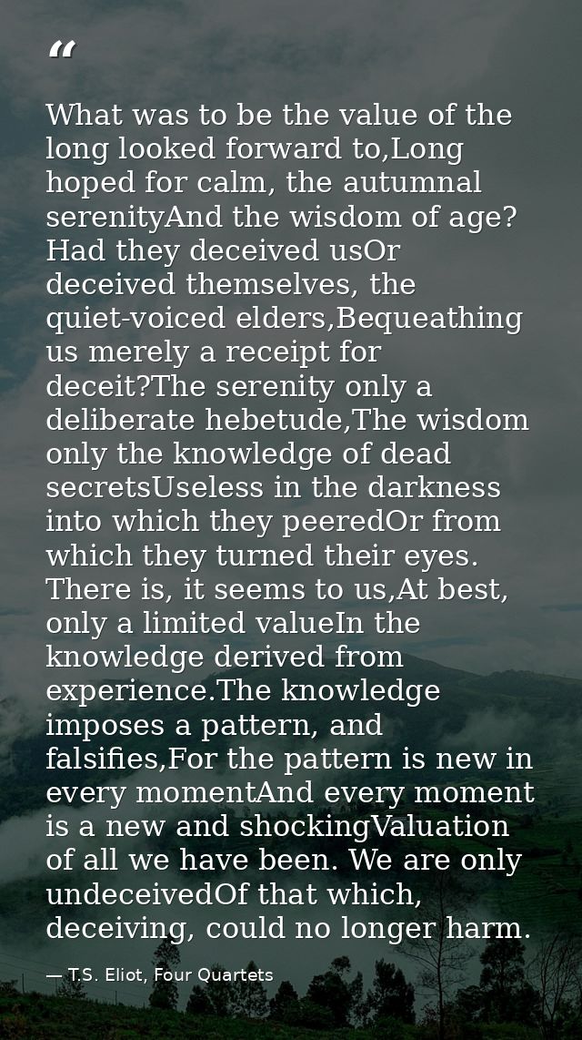What was to be the value of the long looked forward to,Long hoped for calm, the autumnal serenityAnd the wisdom of age?  — T.S. Eliot, Four Quartets