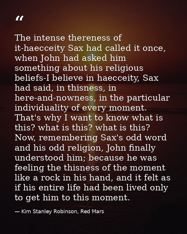 The intense thereness of it-haecceity Sax had called it once, when John had asked him something about his religious beli — Kim Stanley Robinson, Red Mars