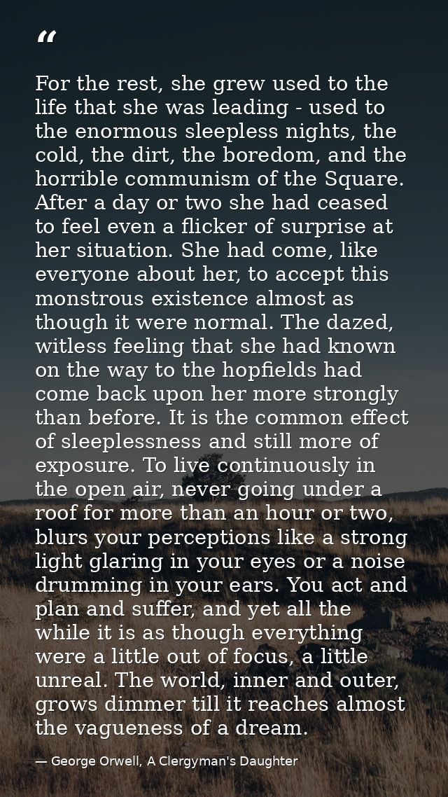 For the rest, she grew used to the life that she was leading - used to the enormous sleepless nights, the cold, the dirt — George Orwell, A Clergyman's Daughter