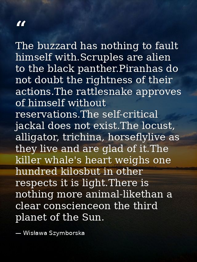 The buzzard has nothing to fault himself with.Scruples are alien to the black panther.Piranhas do not doubt the rightnes — Wisława Szymborska