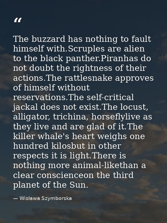 The buzzard has nothing to fault himself with.Scruples are alien to the black panther.Piranhas do not doubt the rightnes — Wisława Szymborska