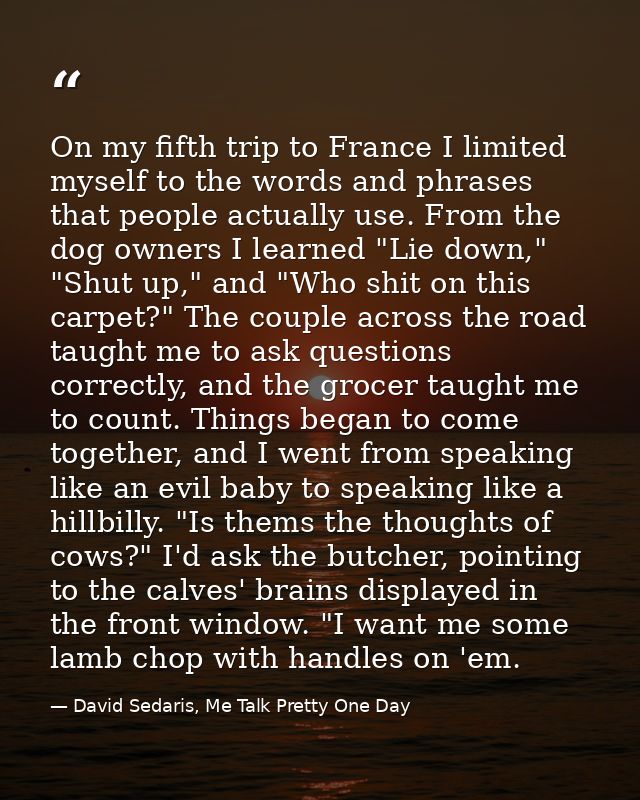 On my fifth trip to France I limited myself to the words and phrases that people actually use. From the dog owners I lea — David Sedaris, Me Talk Pretty One Day