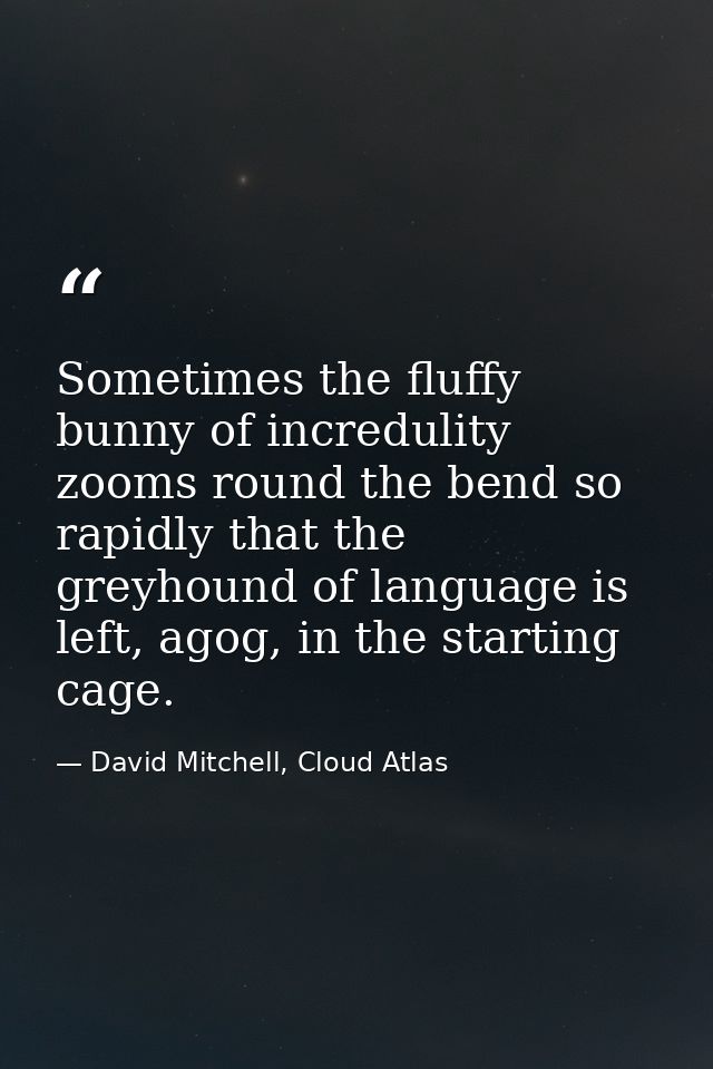 Sometimes the fluffy bunny of incredulity zooms round the bend so rapidly that the greyhound of language is left, agog,  — David Mitchell, Cloud Atlas