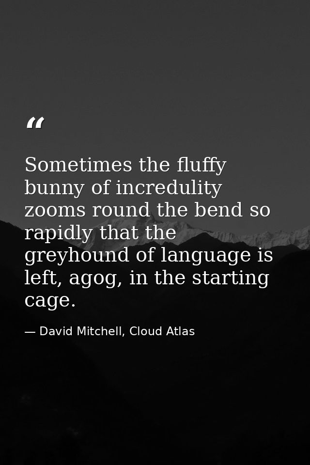 Sometimes the fluffy bunny of incredulity zooms round the bend so rapidly that the greyhound of language is left, agog,  — David Mitchell, Cloud Atlas