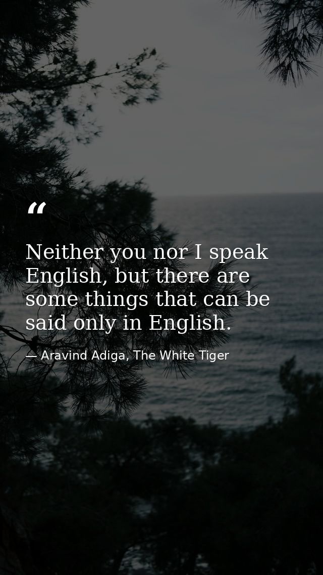 Neither you nor I speak English, but there are some things that can be said only in English. — Aravind Adiga, The White Tiger