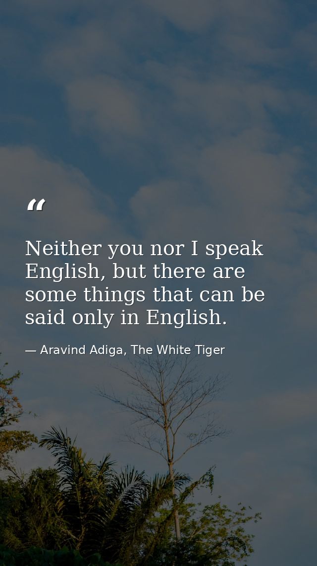 Neither you nor I speak English, but there are some things that can be said only in English. — Aravind Adiga, The White Tiger
