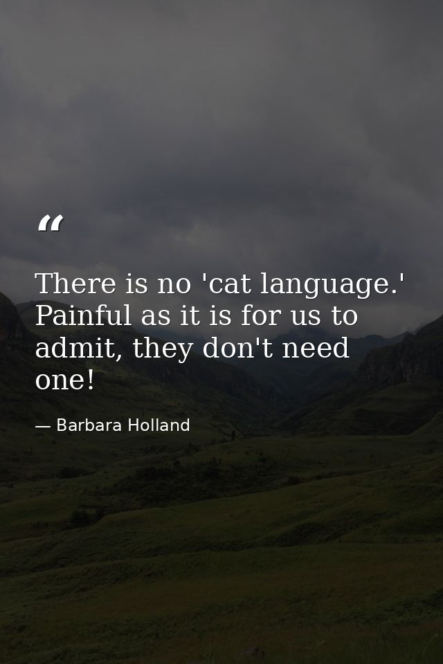 There is no 'cat language.' Painful as it is for us to admit, they don't need one! — Barbara Holland