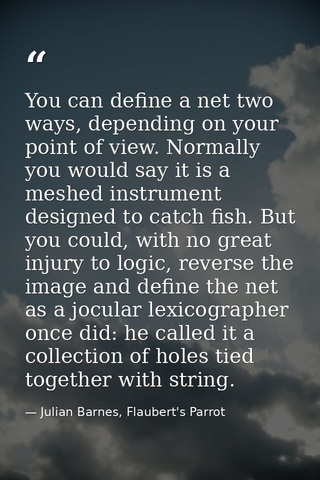 You can define a net two ways, depending on your point of view. Normally you would say it is a meshed instrument designe — Julian Barnes, Flaubert's Parrot