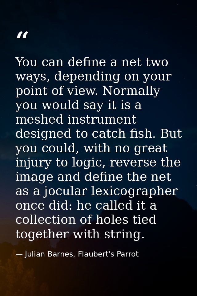 You can define a net two ways, depending on your point of view. Normally you would say it is a meshed instrument designe — Julian Barnes, Flaubert's Parrot