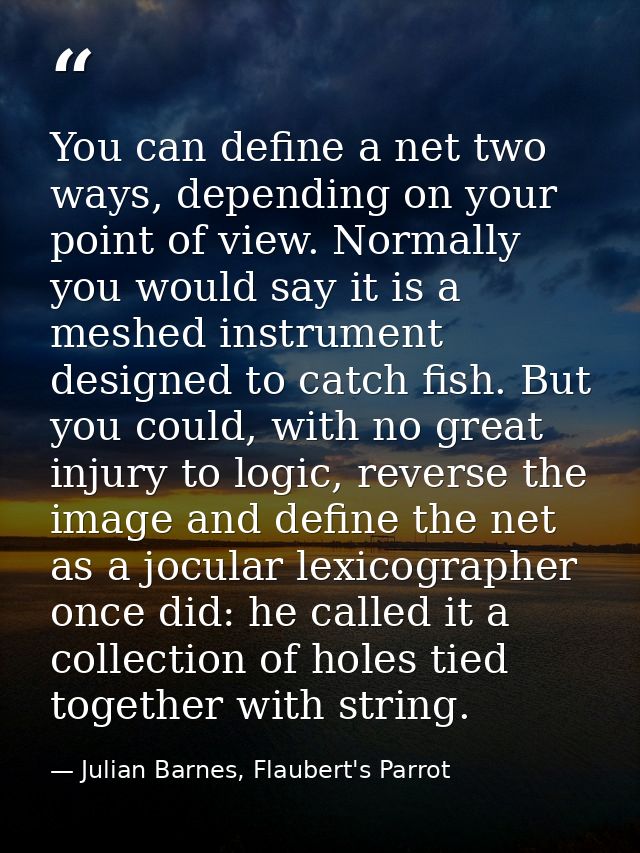 You can define a net two ways, depending on your point of view. Normally you would say it is a meshed instrument designe — Julian Barnes, Flaubert's Parrot