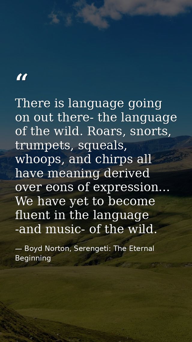 There is language going on out there- the language of the wild. Roars, snorts, trumpets, squeals, whoops, and chirps all — Boyd Norton, Serengeti: The Eternal Beginning