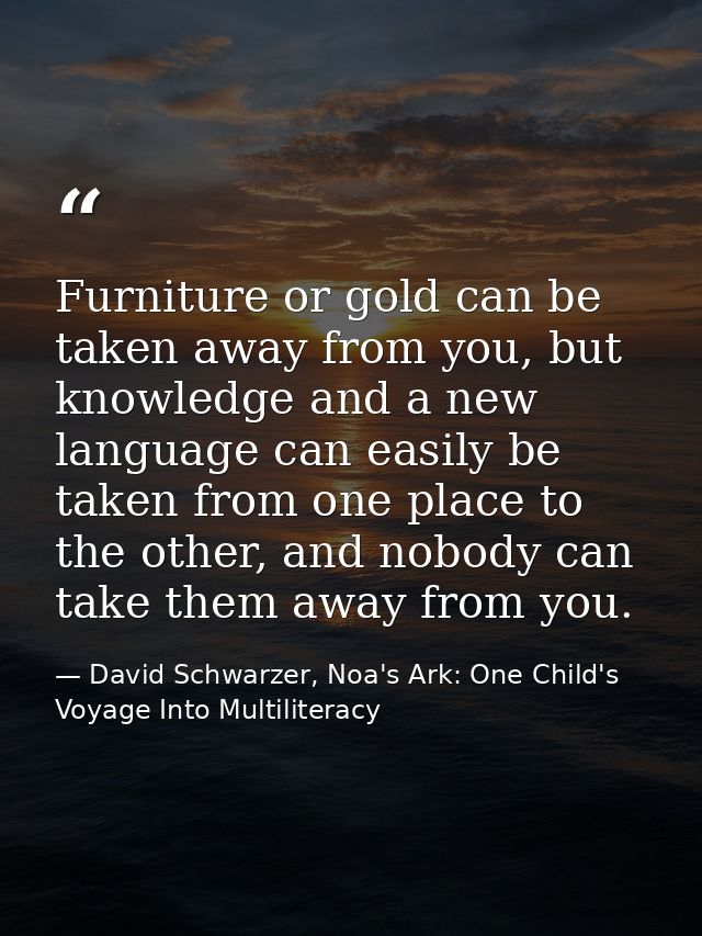 Furniture or gold can be taken away from you, but knowledge and a new language can easily be taken from one place to the — David Schwarzer, Noa's Ark: One Child's Voyage Into Multiliteracy
