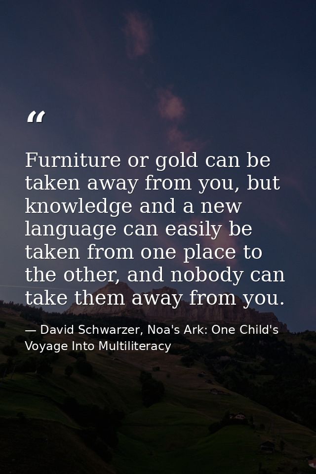 Furniture or gold can be taken away from you, but knowledge and a new language can easily be taken from one place to the — David Schwarzer, Noa's Ark: One Child's Voyage Into Multiliteracy