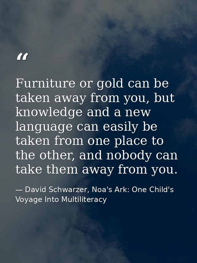 Furniture or gold can be taken away from you, but knowledge and a new language can easily be taken from one place to the — David Schwarzer, Noa's Ark: One Child's Voyage Into Multiliteracy