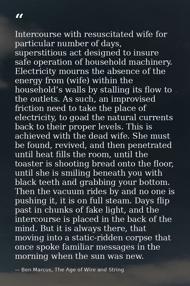 Intercourse with resuscitated wife for particular number of days, superstitious act designed to insure safe operation of — Ben Marcus, The Age of Wire and String
