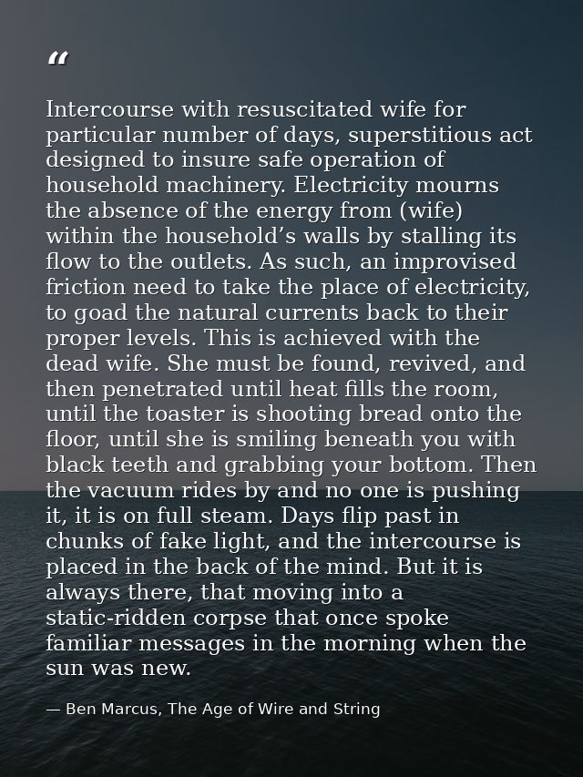 Intercourse with resuscitated wife for particular number of days, superstitious act designed to insure safe operation of — Ben Marcus, The Age of Wire and String
