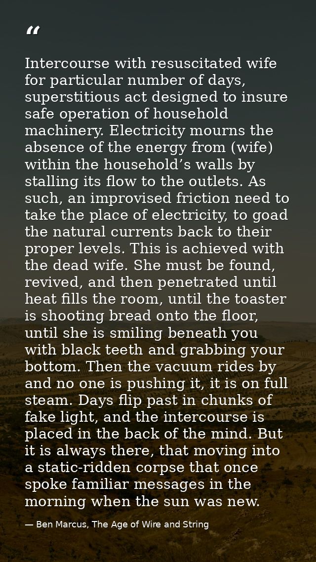 Intercourse with resuscitated wife for particular number of days, superstitious act designed to insure safe operation of — Ben Marcus, The Age of Wire and String