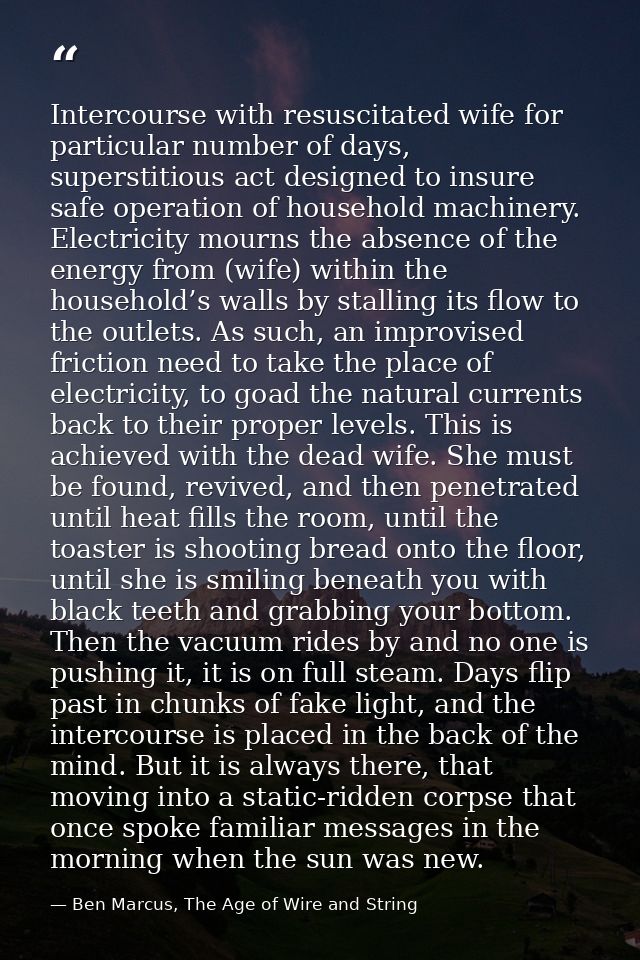 Intercourse with resuscitated wife for particular number of days, superstitious act designed to insure safe operation of — Ben Marcus, The Age of Wire and String