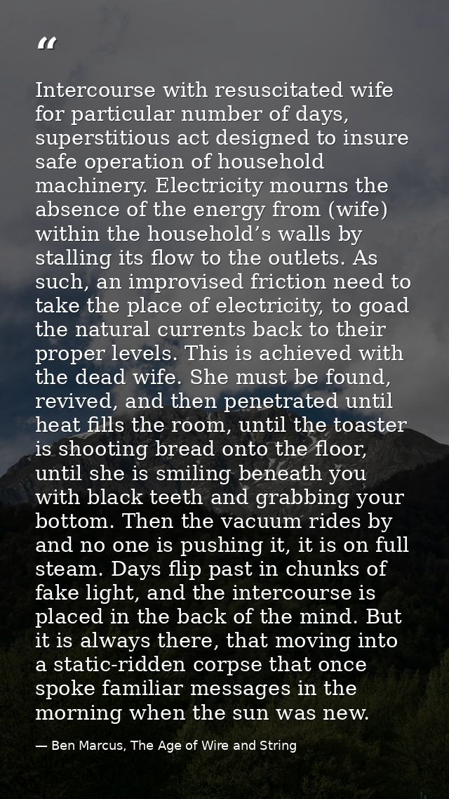 Intercourse with resuscitated wife for particular number of days, superstitious act designed to insure safe operation of — Ben Marcus, The Age of Wire and String