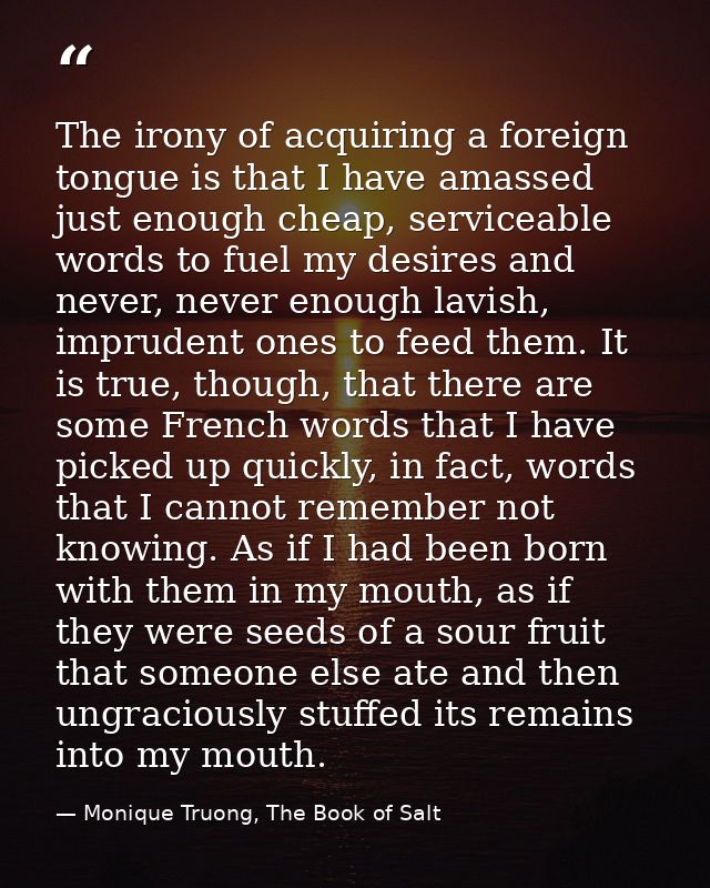 The irony of acquiring a foreign tongue is that I have amassed just enough cheap, serviceable words to fuel my desires a — Monique Truong, The Book of Salt