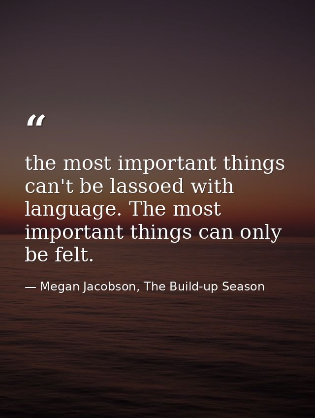 the most important things can't be lassoed with language. The most important things can only be felt. — Megan Jacobson, The Build-up Season