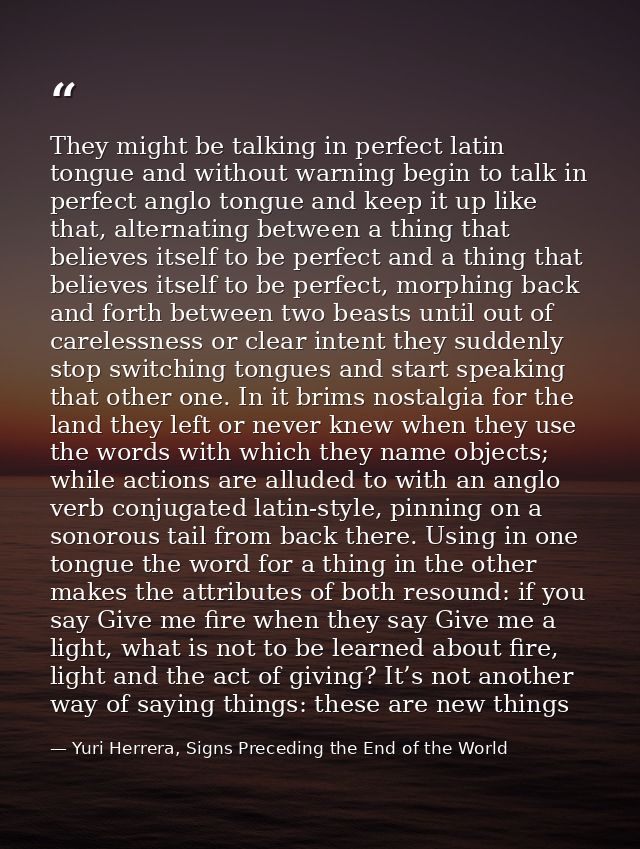 They might be talking in perfect latin tongue and without warning begin to talk in perfect anglo tongue and keep it up l — Yuri Herrera, Signs Preceding the End of the World