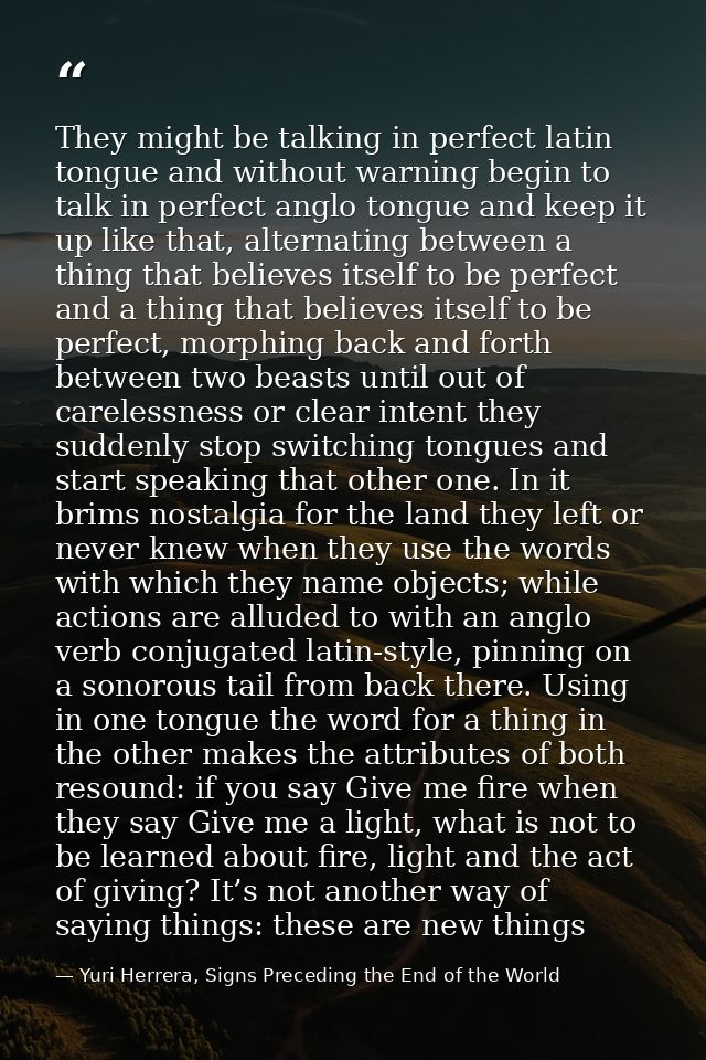 They might be talking in perfect latin tongue and without warning begin to talk in perfect anglo tongue and keep it up l — Yuri Herrera, Signs Preceding the End of the World