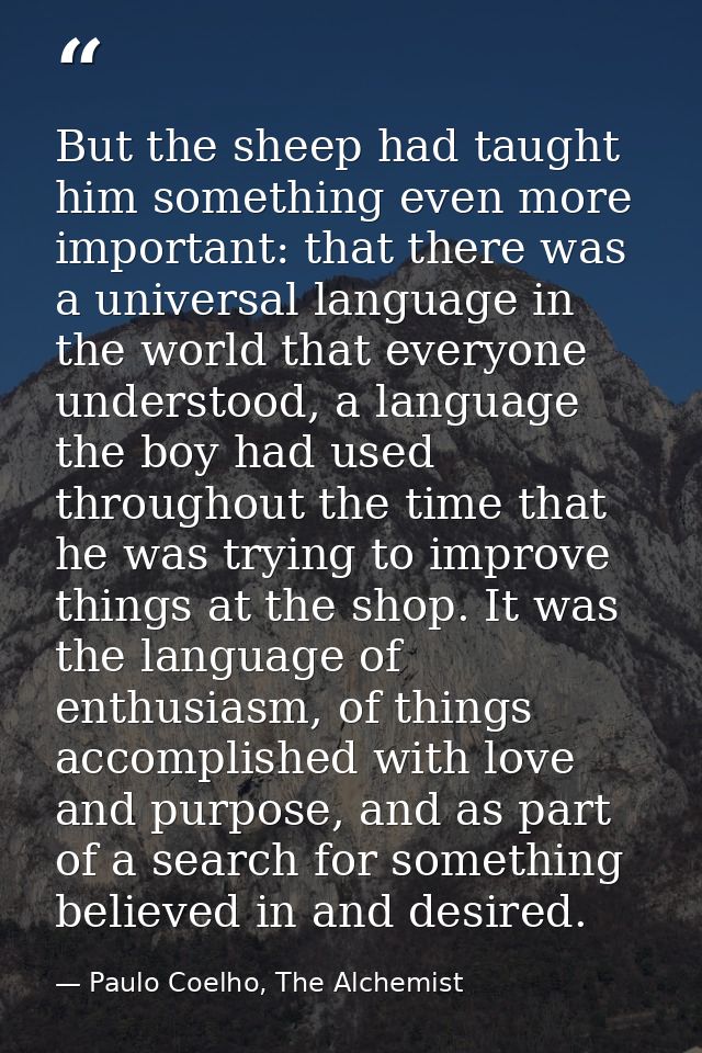 But the sheep had taught him something even more important: that there was a universal language in the world that everyo — Paulo Coelho, The Alchemist