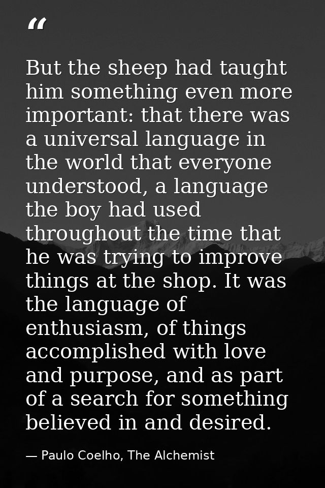 But the sheep had taught him something even more important: that there was a universal language in the world that everyo — Paulo Coelho, The Alchemist