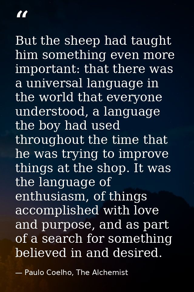 But the sheep had taught him something even more important: that there was a universal language in the world that everyo — Paulo Coelho, The Alchemist
