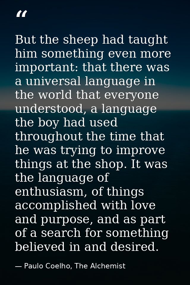 But the sheep had taught him something even more important: that there was a universal language in the world that everyo — Paulo Coelho, The Alchemist