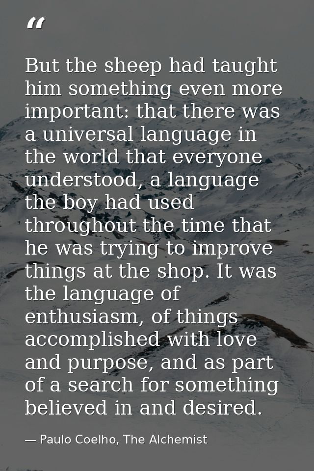 But the sheep had taught him something even more important: that there was a universal language in the world that everyo — Paulo Coelho, The Alchemist