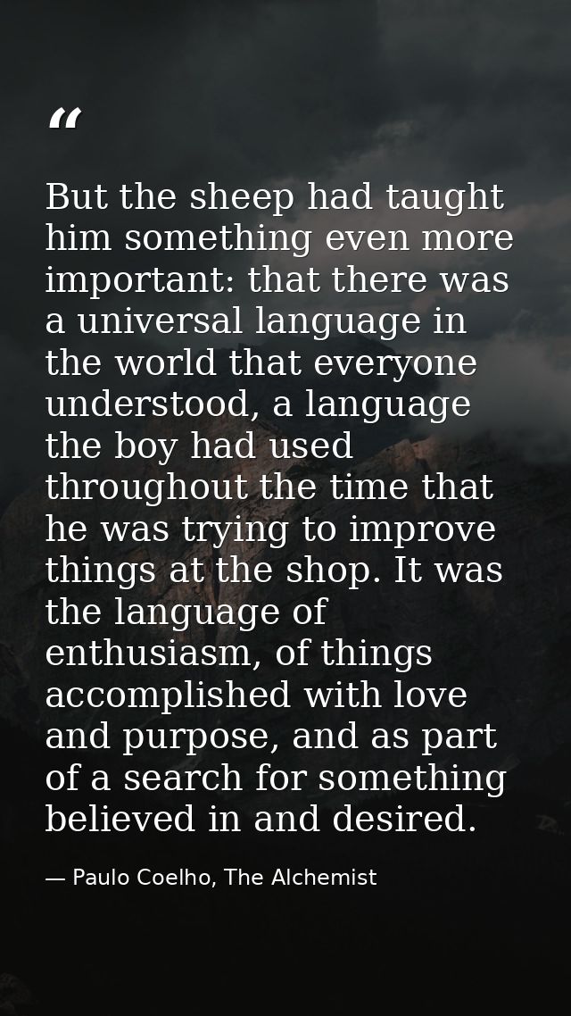 But the sheep had taught him something even more important: that there was a universal language in the world that everyo — Paulo Coelho, The Alchemist