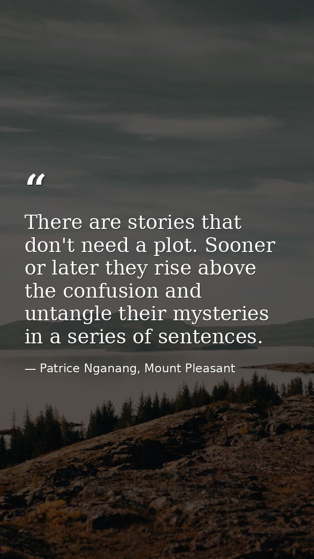 There are stories that don't need a plot. Sooner or later they rise above the confusion and untangle their mysteries in  — Patrice Nganang, Mount Pleasant