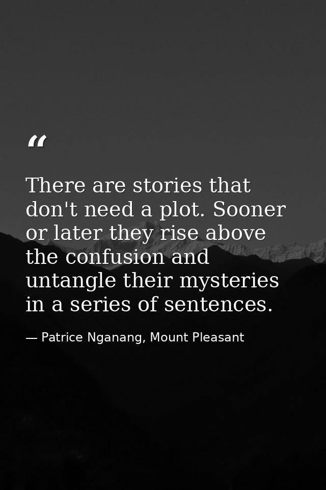 There are stories that don't need a plot. Sooner or later they rise above the confusion and untangle their mysteries in  — Patrice Nganang, Mount Pleasant