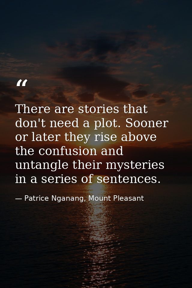 There are stories that don't need a plot. Sooner or later they rise above the confusion and untangle their mysteries in  — Patrice Nganang, Mount Pleasant