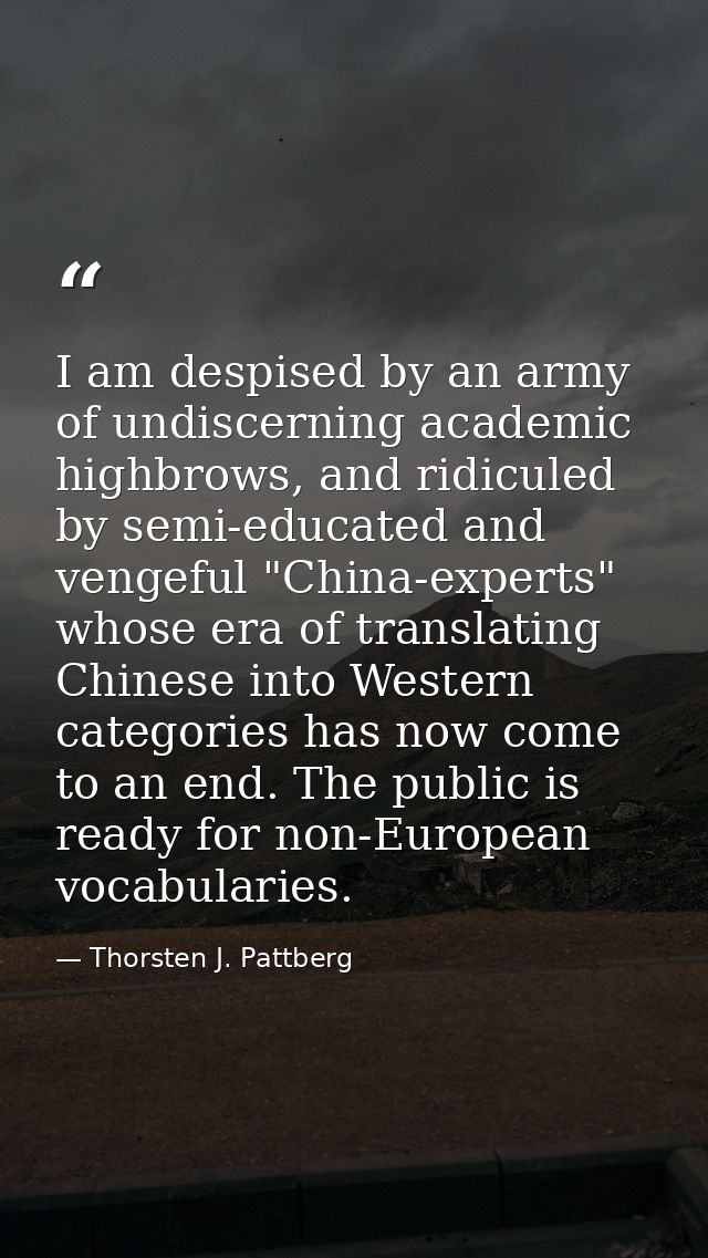 I am despised by an army of undiscerning academic highbrows, and ridiculed by semi-educated and vengeful "China-experts" — Thorsten J. Pattberg