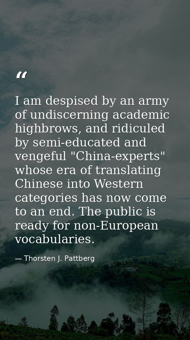 I am despised by an army of undiscerning academic highbrows, and ridiculed by semi-educated and vengeful "China-experts" — Thorsten J. Pattberg