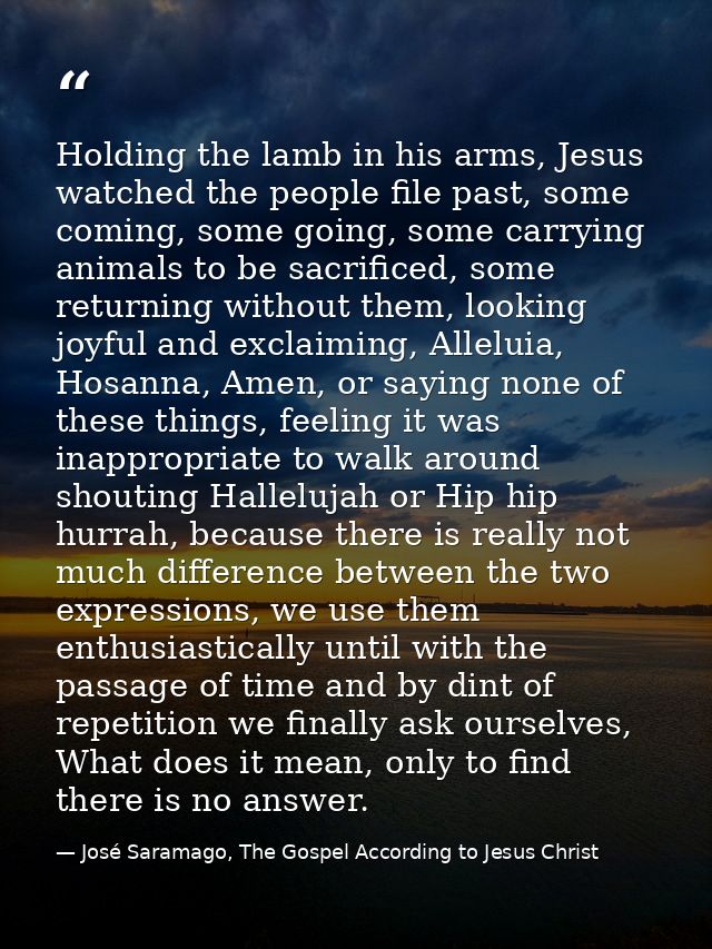 Holding the lamb in his arms, Jesus watched the people file past, some coming, some going, some carrying animals to be s — José Saramago, The Gospel According to Jesus Christ