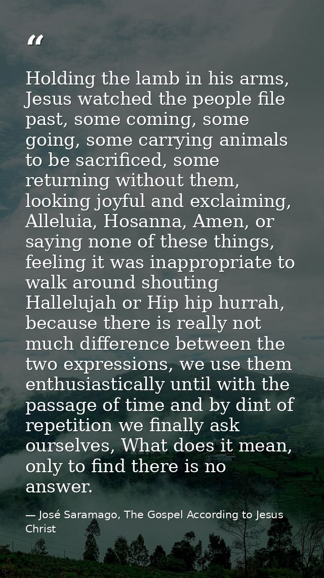 Holding the lamb in his arms, Jesus watched the people file past, some coming, some going, some carrying animals to be s — José Saramago, The Gospel According to Jesus Christ