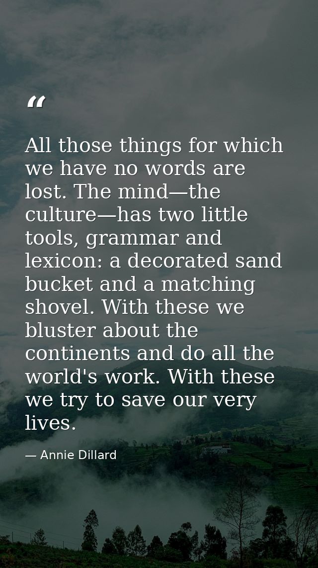 All those things for which we have no words are lost. The mind—the culture—has two little tools, grammar and lexicon: a  — Annie Dillard